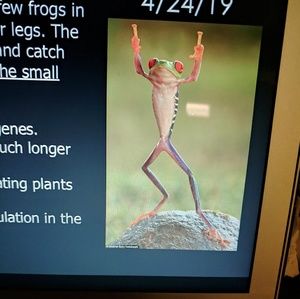 Meet your Posher, Isabel